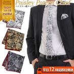 peiz Lee рисунок chief chief pocket square peiz Lee бизнес формальный party . называется . оборудование мужской костюм рубашка стиль 
