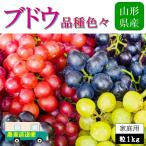 【完売】農家直送！ 山形県 高畠町産 ブドウ 葡萄 品種いろいろ 粒 1kg 《 送料無料 》