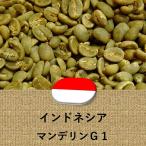 ショッピングコーヒー豆 コーヒー豆 インドネシア産 マンデリン G1 未焙煎 生豆 2lbs 907g