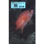 魚 海水編 (野外ハンドブック 9)