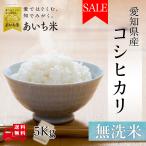 新米 米 お米 無洗米 5kg 愛知県産 コシヒカリ 白米 5キロ 令和5年産 送料無料 5kgx1袋 こしひかり 精米