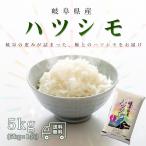 米 お米 5kg 岐阜県産 ハツシモ はつしも 白米 5キロ 令和6年産 5kg×1袋 精米