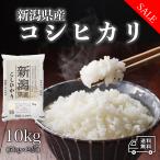 おこめ 米 お米 10kg 新潟県産 こしひかり 白米 10キロ 令和5年産 5kg×2袋 精米