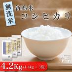 おこめ 米 お米 無洗米 4.2kg パールライス 新潟県産 こしひかり 白米 4.2キロ 令和5年産 1.4kg×3袋 精米