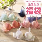 ショッピングブラジャー (アモスタイル)AMOSTYLE WEB限定 ブラジャー 単品3点入り福袋(B,C,D,Eカップ) レディース 2023 2024 下着 インナー