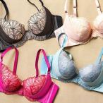 ¥»¡¼¥ë32%OFF ¡Ê¥È¥ê¥ó¥×¡ËTriumph Å·»È¤Î¥Ö¥é ¥¹¥ê¥à¥é¥¤¥ó494 ¥Ö¥é¥¸¥ã¡¼ TR494 WHU2