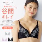 まとめ買い対象 セール20%OFF (アモスタイル)AMOSTYLE 夢みるブラ DeepV シャインオブクリスタル(B,C,Dカップ) AMST1439 WHU JX