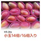 商品画像2
