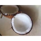 ベトナム産　オールドココナッツ 約25.0kg  30個入り