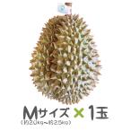 タイ産ドリアン Mサイズ 約2.0kg〜2.5kg 1玉入り（モントーン種）