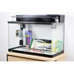 送料無料　ＧＥＸ　ラピレスRV60DT　LEDセット　60cm曲げガラス水槽・熱帯魚飼育セット　北海道・沖縄・離島、別途送料