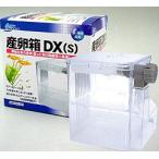 niso- производство яйцо коробка DX(S) [ тропическая рыба * аквариум / производство яйцо коробка * садок для разведения ]