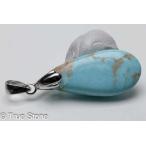 アメリカアリゾナキングマンターコイ...