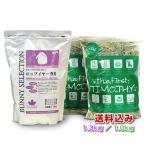 バニーセレクションホーランドロップ...