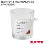  черепаха yama.. свеча плюмерия & Apple BA4780550