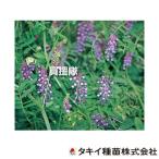 タキイ種苗 ヘアリーベッチ ナモイ BMA512の魅力と使い方