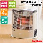 (P5 раз )( купон .1000 иен OFF)(5 день ограничение ) Iwatani кассета газовая печка teka.II CB-STV-DKD2