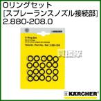 ( максимальный 1000 иен OFF купон ) Karcher мойка высокого давления для уплотнительное кольцо комплект спрей Ran s форсунка подключение часть 2.880-208.0