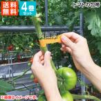 （4巻セット）トマトの包帯 25mm x5m 不織布テープ オレンジ クラレトレーディング