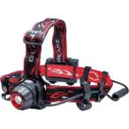 カスタム MASTER-TO GLANZ ハイブリッドヘッドライト RVH-01R 期間限定 ポイント10倍