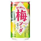 ショッピング梅 サンガリア 香り爽やか梅ソーダ 190g ×30本