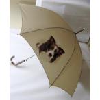 ボーダーコリー（NEW） 傘 65cm 直径110cm レディース メンズ 男女兼用 雨傘 かわいい おしゃれ 梅雨 レイングッズ UVカット 風に強い 耐風 犬柄 いぬ 犬グッズ