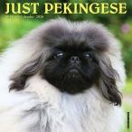 * календарь peki потребности [ постоянный размер / орнамент ] 2026 год . мир 8 год календарь . собака papi- собака вид календарь собака DOG импорт средний ..wi low k утечка квадратный тип 