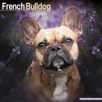 * календарь French bru собака f Rebel [ постоянный размер / орнамент ] собака 2026 год . мир 8 год собака вид другой календарь средний ..e-bon боковой квадратный тип 