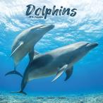 * календарь дельфин Dolphin [ постоянный размер / орнамент ] 2026 год . мир 8 год море свинья . сырой животное море . живое существо море . средний ..e-bon боковой квадратный тип день рождения 