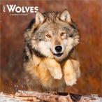  Wolf oo kami. календарь 2027 год месяц .... мир 9 год WOLF wild жизнь импорт brown trout подарок подарок день рождения Рождество Trust one отметка 