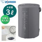 9月1日発売 象印 加湿器 EE-DF35-HA EE-DF35 スチーム式 容量3L 加湿機 スチーム加湿器 スチーム式加湿器 EEDF35 グレー 大容量