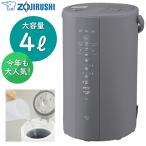9月1日発売お届可能 象印 加湿器 EE-DF50-HA EE-DF50 スチーム式 容量4L 加湿機 スチーム加湿器 スチーム式加湿器 EEDF50 グレー 大容量