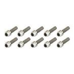 【メーカー純正品】【正規代理店品】ADEPT(アデプト) AS5 ステンレス ボルト セット M5x20mm「爆買」