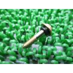 ZRX1200daeg винт болт наличие иметь немедленная уплата Kawasaki оригинальный новый товар мотоцикл детали Eliminator 250 ZRX1100 ZRX1200R техосмотр "shaken" Genuine GPZ900R 1