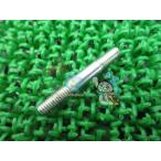 フォルツァ リードバルブボルト 在