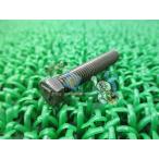 SR400 チェーンプラーボルト 在庫有 即納 ヤマハ 純正 新品 バイク 部品 TZR250 車検 Genuine YZF-R1 YZF-R6 TZR125 YZ125 YZ250F SDR200 kG