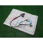  Forza вспомогательный Harness наличие иметь немедленная уплата Honda оригинальный новый товар мотоцикл детали иммобилайзер HONDA техосмотр "shaken" Genuine Cx