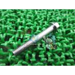 W650 крышка двигателя болт Kawasaki оригинальный новый товар мотоцикл детали super Sherpa KLX250 D Tracker ZRX1100 ZRX1200R NinjaZX-12R W800 Bf