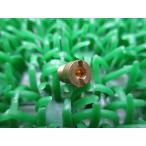  Rebel 250 main jet наличие иметь немедленная уплата Honda оригинальный новый товар мотоцикл детали наличие есть немедленная уплата возможно 99101-GHB1020 техосмотр "shaken" Genuine CB750K Spacy 125 6