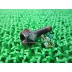 VFR800 суппорт болт наличие иметь немедленная уплата Honda оригинальный новый товар мотоцикл детали CBR1000F техосмотр "shaken" Genuine Forza Foresight CBR600F PS250 jT