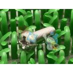 TW200E карбюратор винт наличие иметь немедленная уплата Yamaha оригинальный новый товар мотоцикл детали техосмотр "shaken" Genuine TW200 78