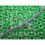  Zoomer вспомогательный воздухоочиститель наклейка наличие иметь немедленная уплата Honda оригинальный новый товар мотоцикл детали AF58 техосмотр "shaken" Genuine Crea Scoopy hK