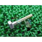  адрес V50 центральная подставка болт Suzuki оригинальный новый товар мотоцикл детали адрес V100 sepia let's II наличие есть немедленная уплата возможно техосмотр "shaken" Genuine RG50E Gm