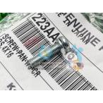 KLX250 карбюратор винт наличие иметь немедленная уплата Kawasaki оригинальный новый товар мотоцикл детали наличие есть немедленная уплата возможно техосмотр "shaken" Genuine D Tracker X KLX250SR KX65 bR