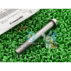 ZX-10R суппорты передних тормозов болт наличие иметь немедленная уплата Kawasaki оригинальный новый товар мотоцикл детали NinjaZX-10R наличие есть немедленная уплата возможно техосмотр "shaken" Genuine Z1000 tH