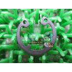  Balius передний тормозные колодки зажим кольцо наличие иметь немедленная уплата Kawasaki оригинальный новый товар мотоцикл детали наличие есть немедленная уплата возможно AN110 AR125 техосмотр "shaken" Genuine W650 98