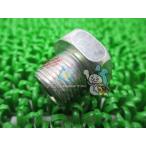 イントルーダー800 ファイナルケー