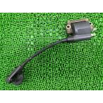  Lead 100 катушка зажигания GW0 Honda оригинальный б/у мотоцикл детали JF06 LEAD100 plug cord штекер колпак функциональный без проблем Yd