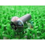  драгстер 400 основной цилиндр замка винт Yamaha оригинальный новый товар мотоцикл детали электрический Passol драгстер 250 1100 наличие есть немедленная уплата возможно vR