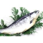  Northern Sea производство ( средний соль покрой ) нерка 
